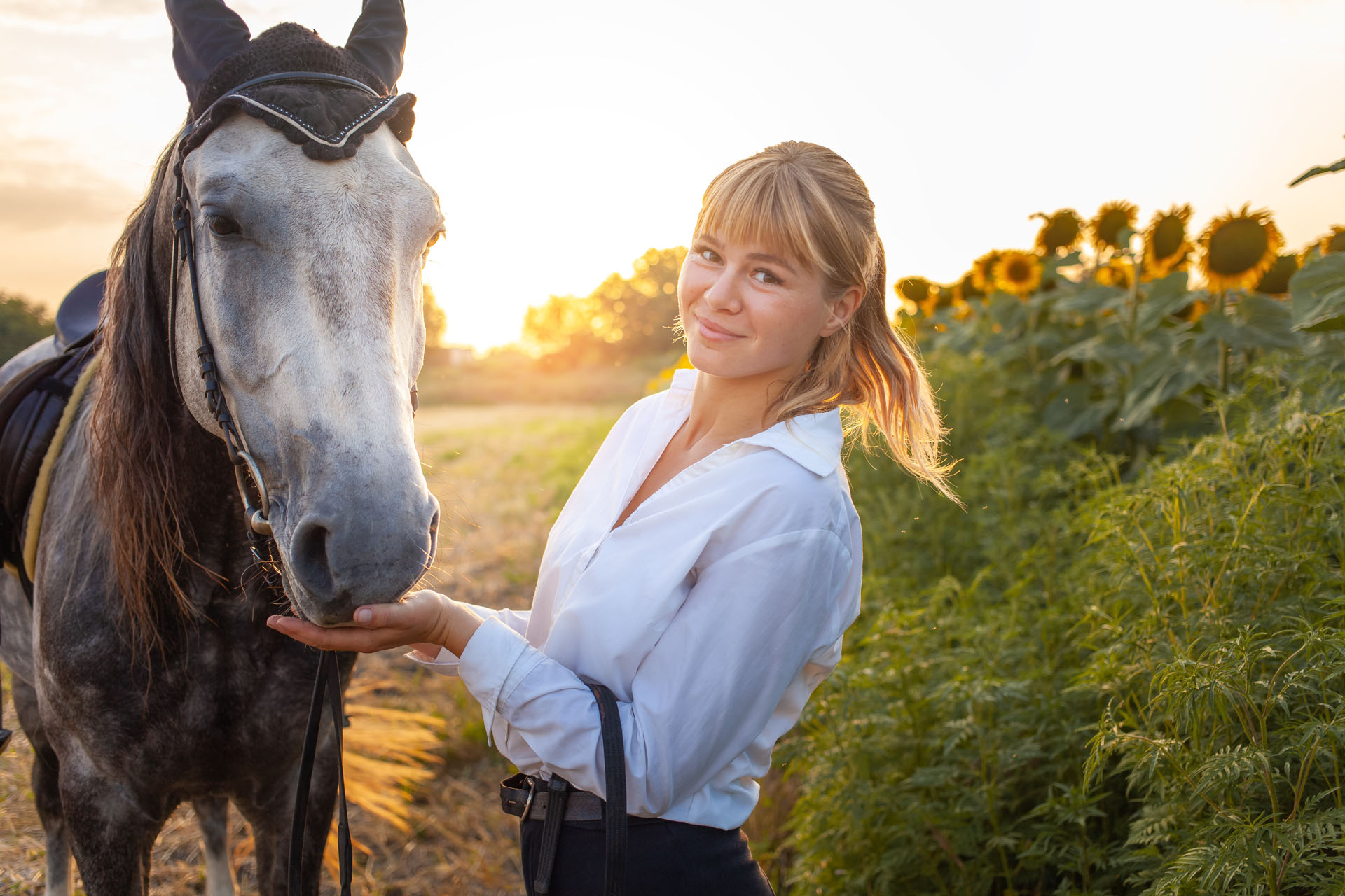 a woman loves a horse. Love and friendship for the animal, care. Beautiful field at sunset, sunflowers. Equestrian sport, training, walking, renting and selling, ammunition. Holidays outdoor, smile